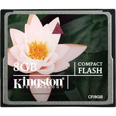 CF (Compact Flash)