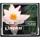 Kingston minneskort, CompactFlash (CF), 4GB - bild 1