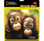 Musmatta, chimpanser